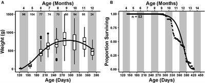 Changes in Metabolism and Proteostasis Drive Aging Phenotype in Aplysia californica Sensory Neurons